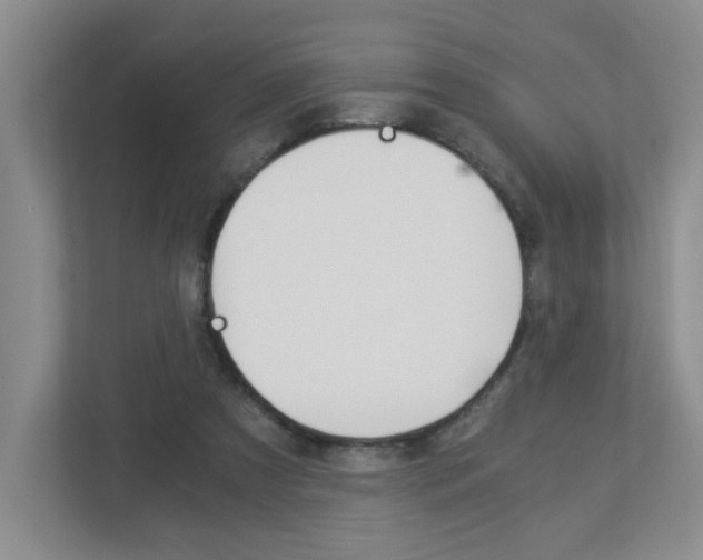 X0000112900305200908211055