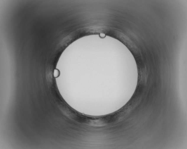 X0000112900309200908211055
