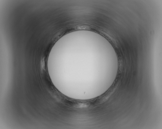 X0000112900310200908211055