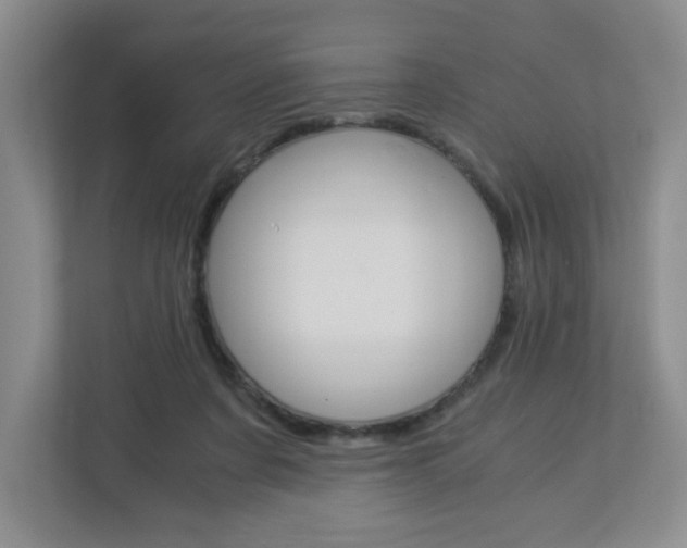 X0000112900311200908211055