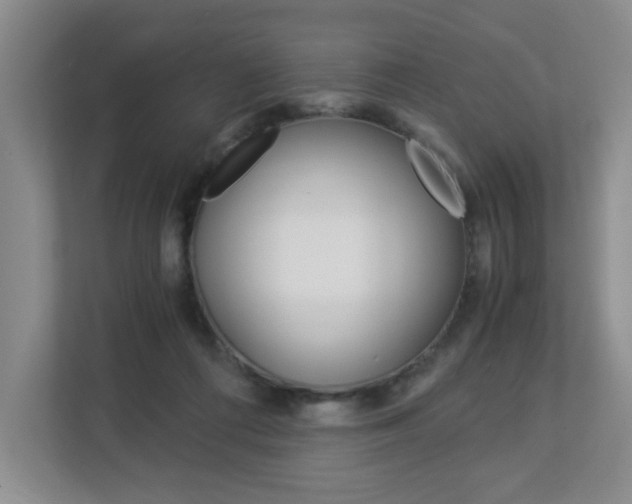 X0000112900312200908211055