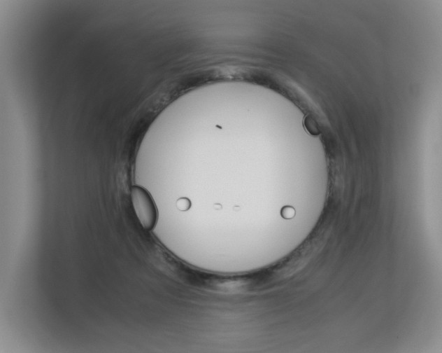 X0000112900313200908211055
