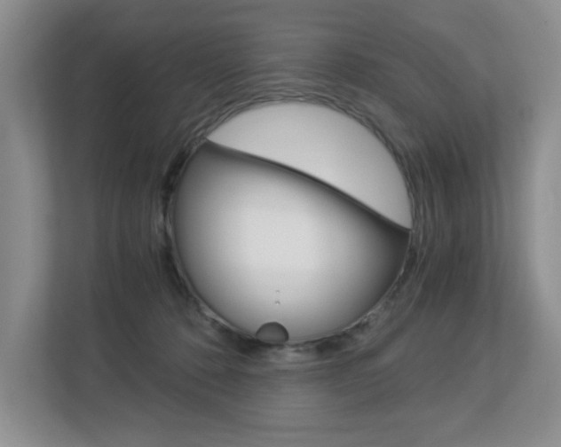 X0000112900320200908211055