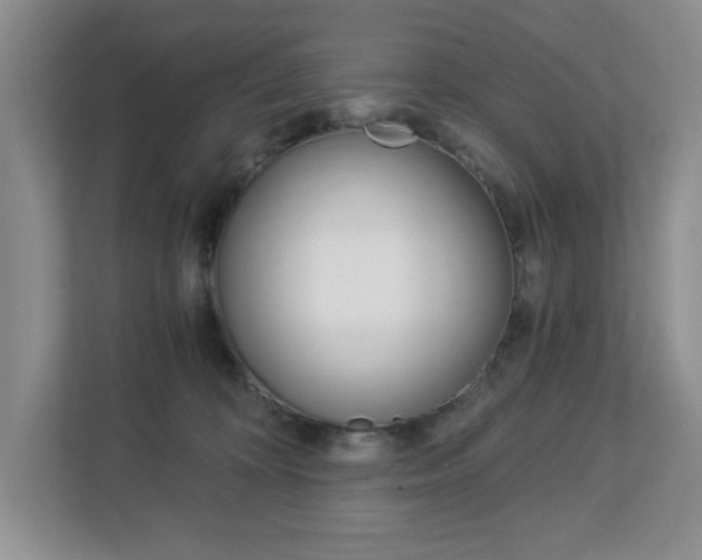 X0000112900324200908211055