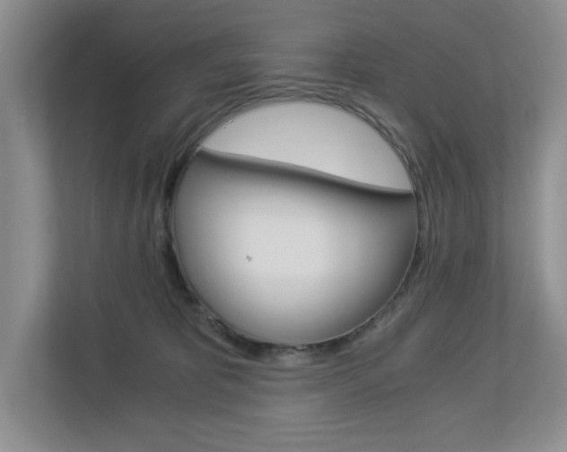 X0000112900325200908211055