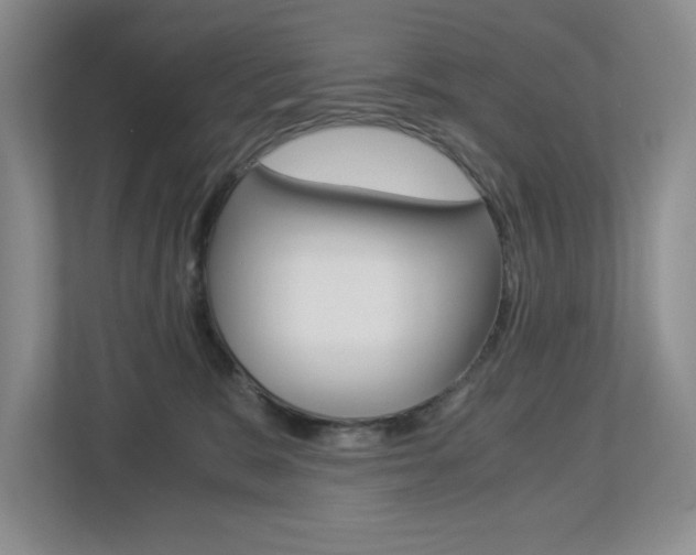 X0000112900327200908211055