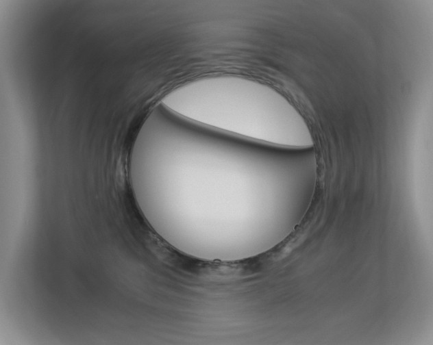 X0000112900329200908211055