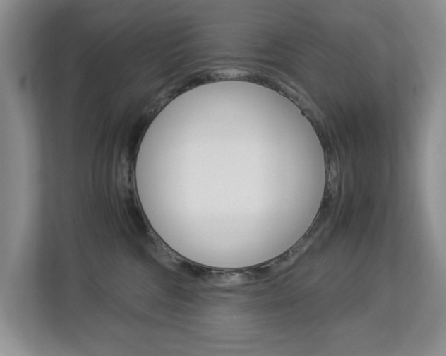 X0000112900330200908211055