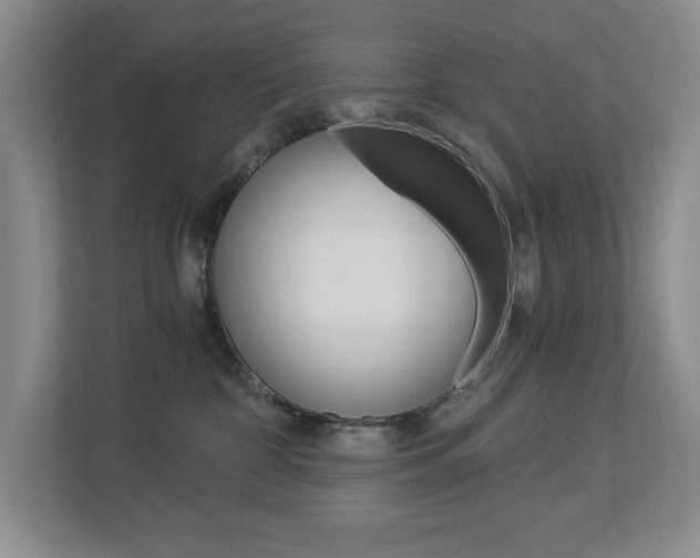 X0000112900332200908211055