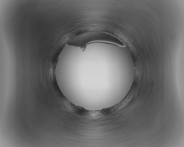 X0000112900333200908211055
