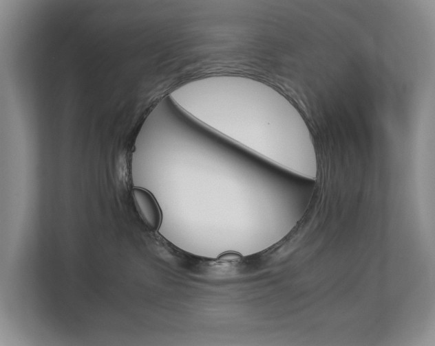 X0000112900335200908211055