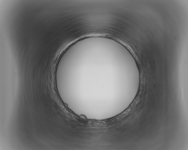 X0000112900337200908211054