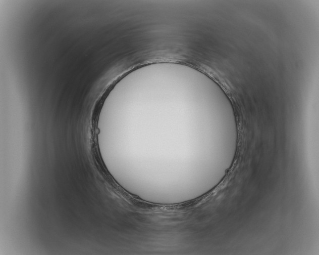 X0000112900338200908211054