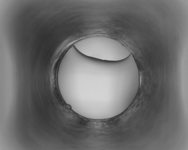 X0000112900339200908211054