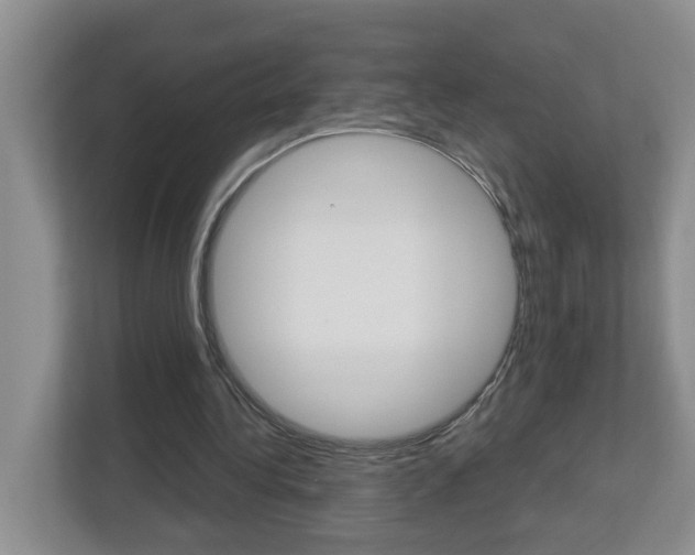 X0000112900340200908211054