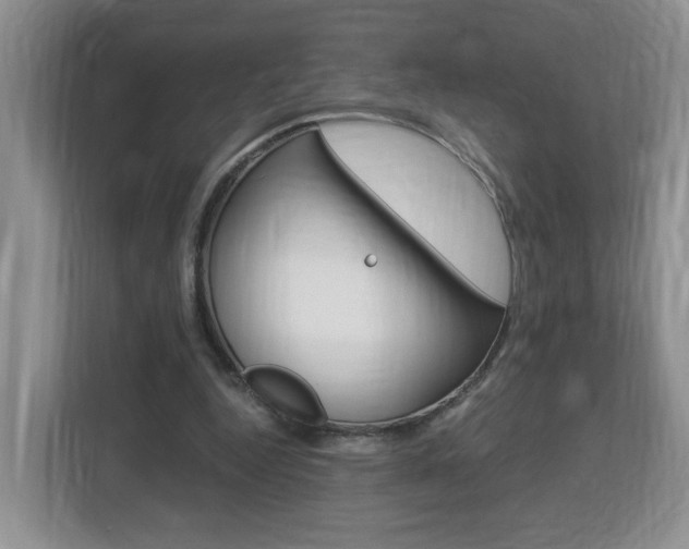 X0000112900344200908211055