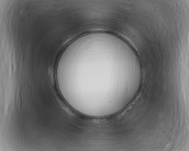 X0000112900345200908211055