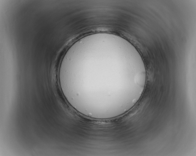 X0000112900347200908211055