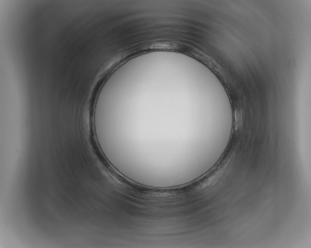 X0000112900349200908211055