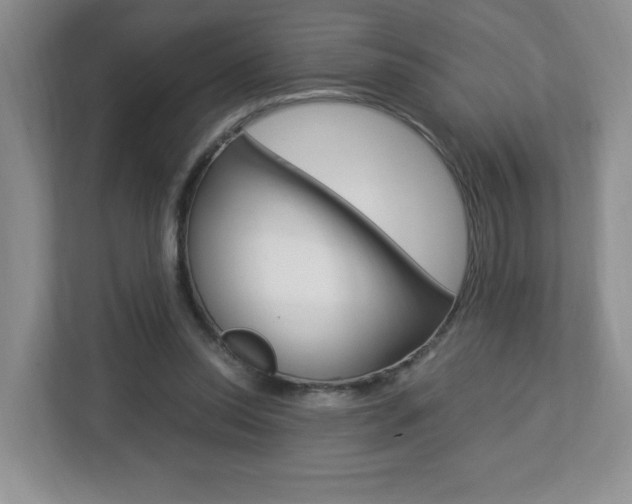 X0000112900350200908211055