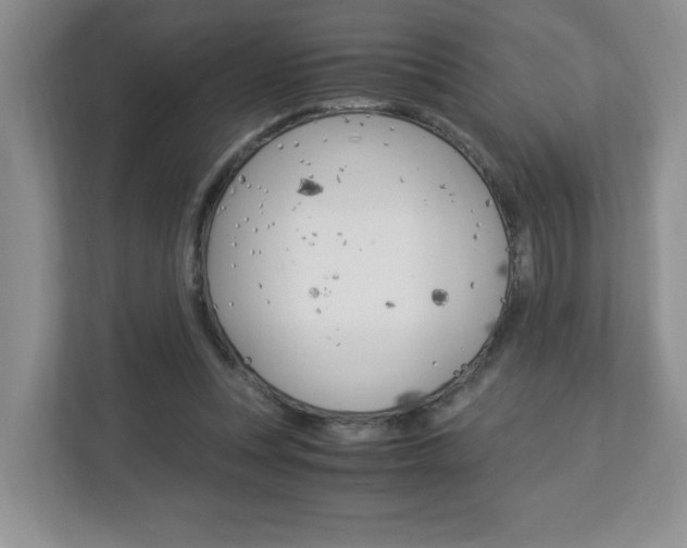 X0000112900351200908211055