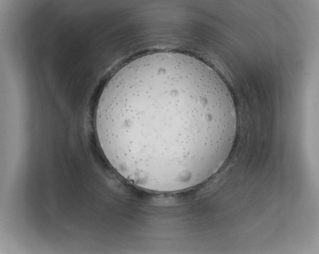 X0000112900354200908211055