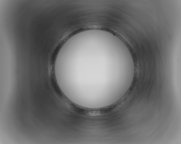 X0000112900355200908211055