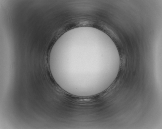 X0000112900361200908211055