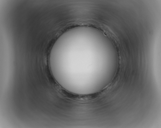 X0000112900368200908211055