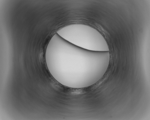 X0000112900377200908211055