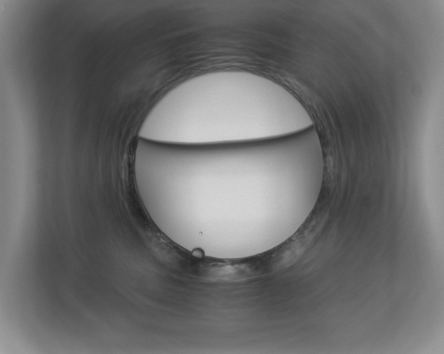 X0000112900379200908211055