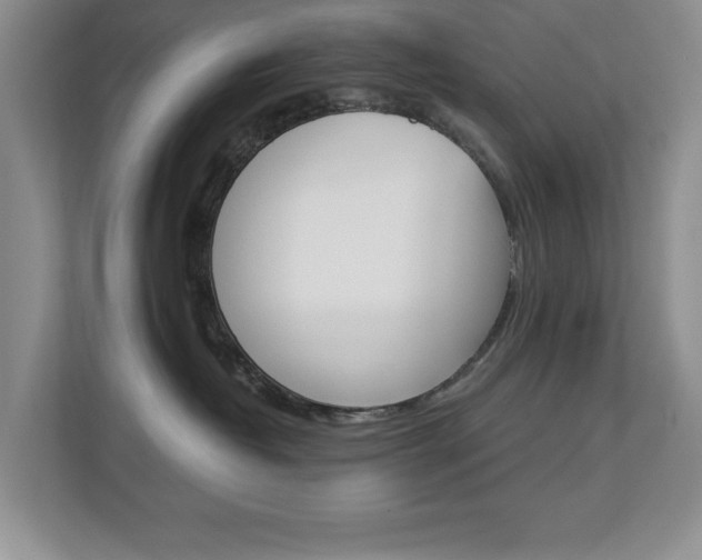 X0000112900382200908211055