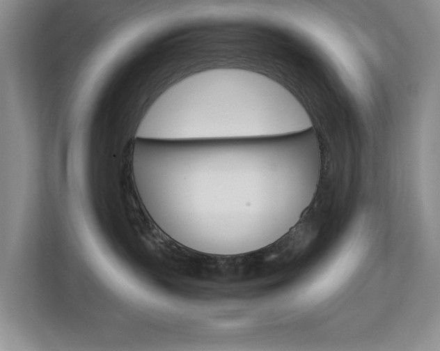 X0000112900383200908211055