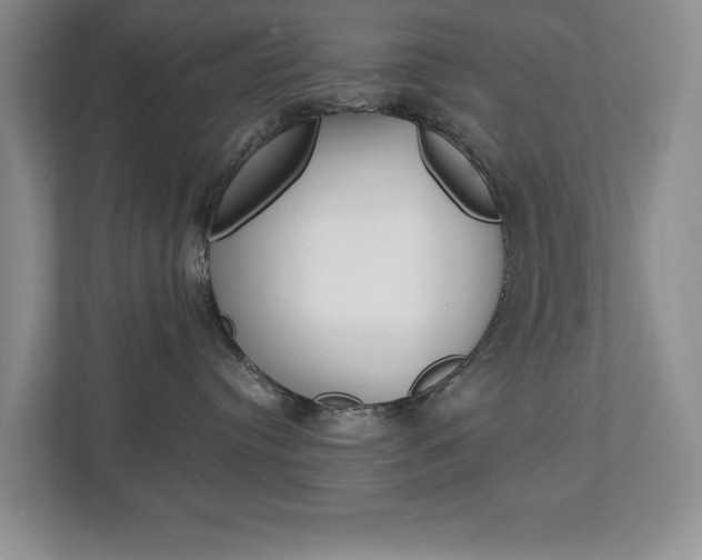 X0000112900384200908211055