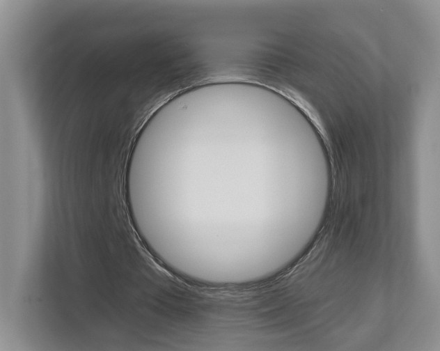 X0000112900385200908211054