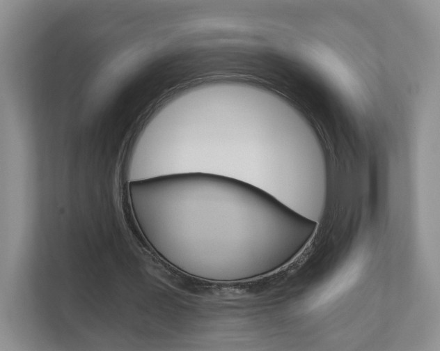 X0000112900387200908211054