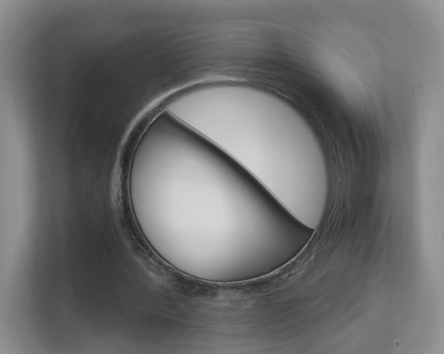 X0000112900388200908211054