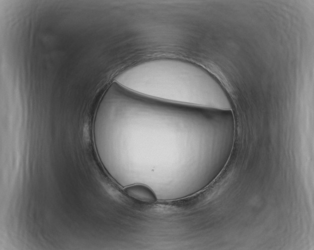 X0000112900393200908211054