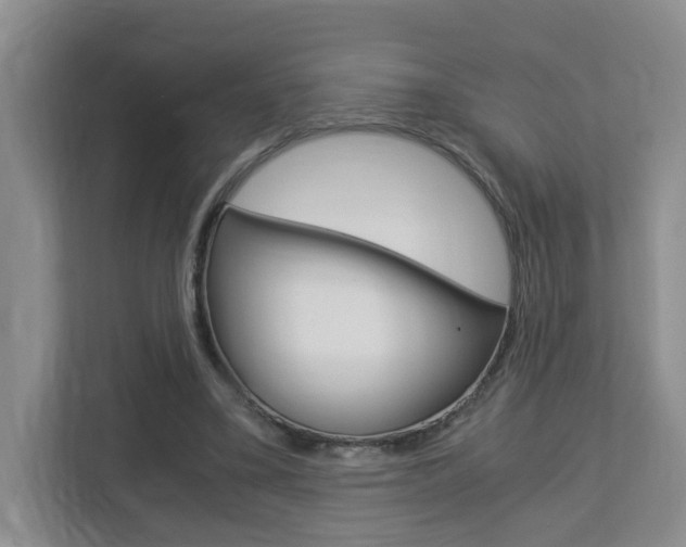 X0000112900395200908211054