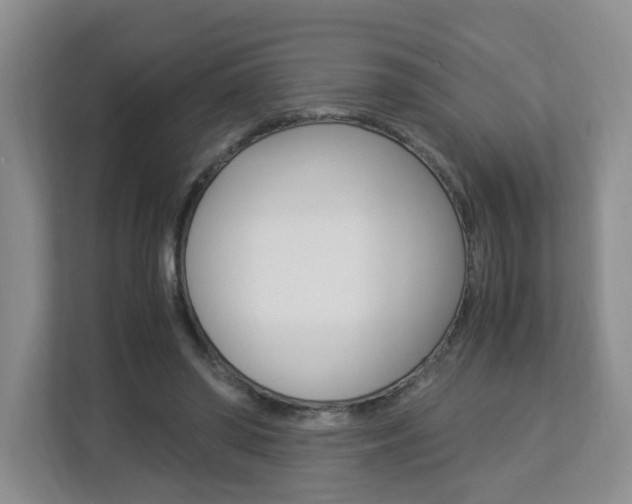 X0000112900398200908211054