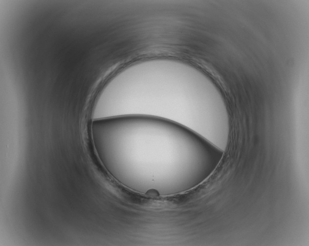 X0000112900399200908211054
