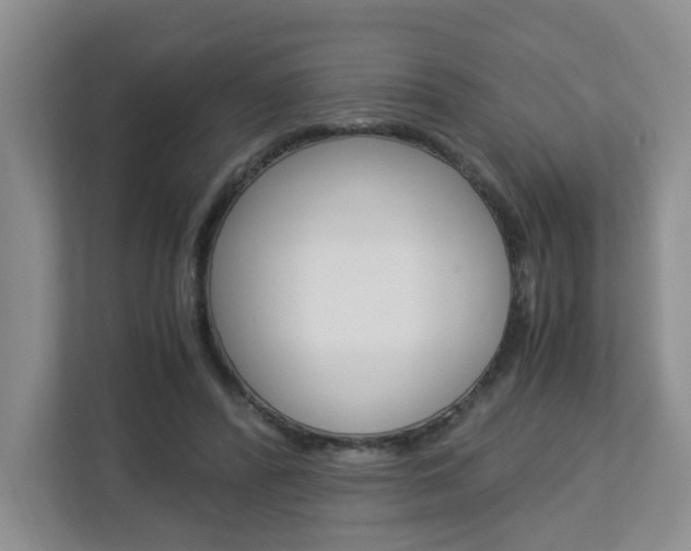 X0000112900400200908211054