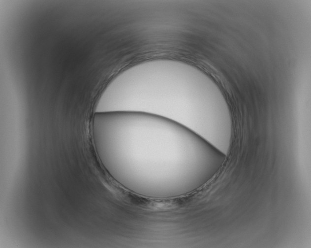 X0000112900401200908211054