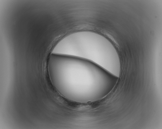 X0000112900403200908211054