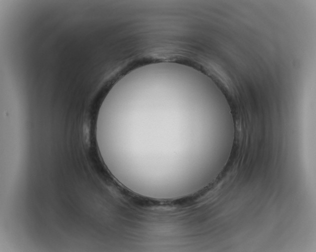 X0000112900404200908211054