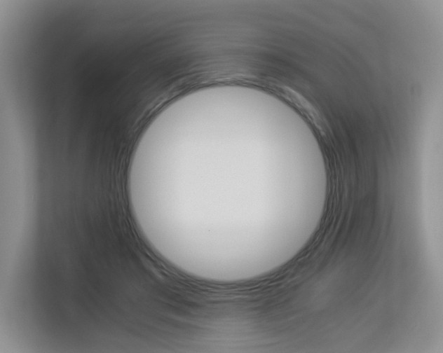 X0000112900405200908211054