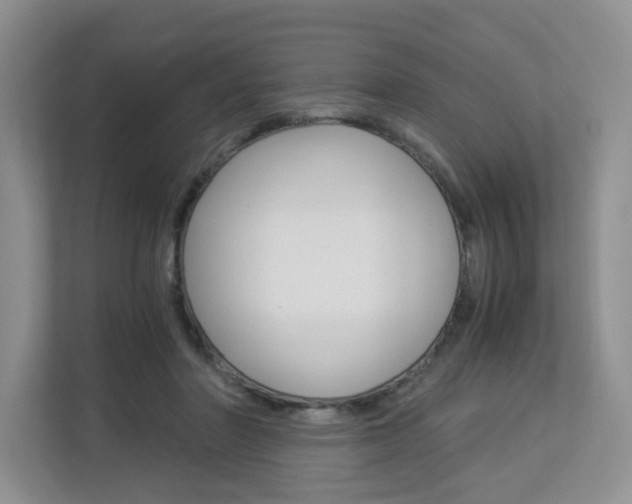 X0000112900406200908211054