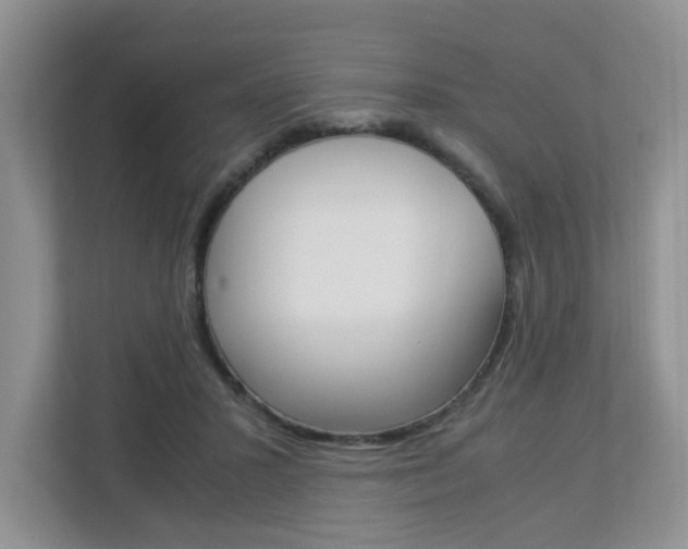 X0000112900407200908211054