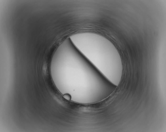 X0000112900408200908211054