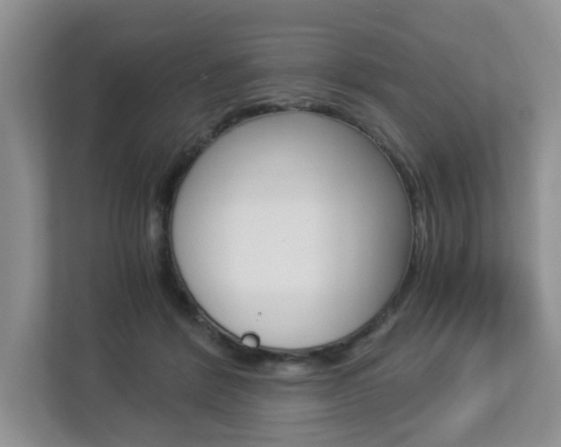 X0000112900412200908211054